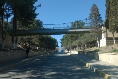 "Nəsimi" parkında "it ovçuları" peyda olub? - FOTO