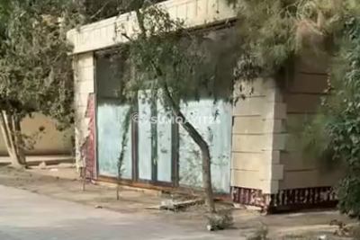 Sumqayıtda ağaclar kəsilərək yerində köşk quraşdırıldı – AÇIQLAMA