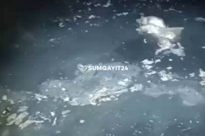 Sumqayıtda binanın zirzəmisində acınacaqlı durum